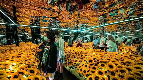 Khám phá ảo ảnh ánh sáng trong không gian bức Sunflower