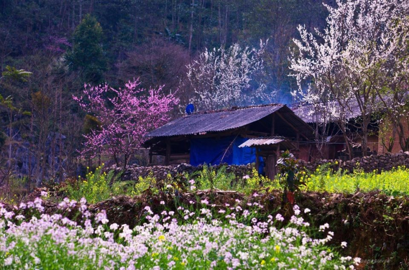 Hà Giang