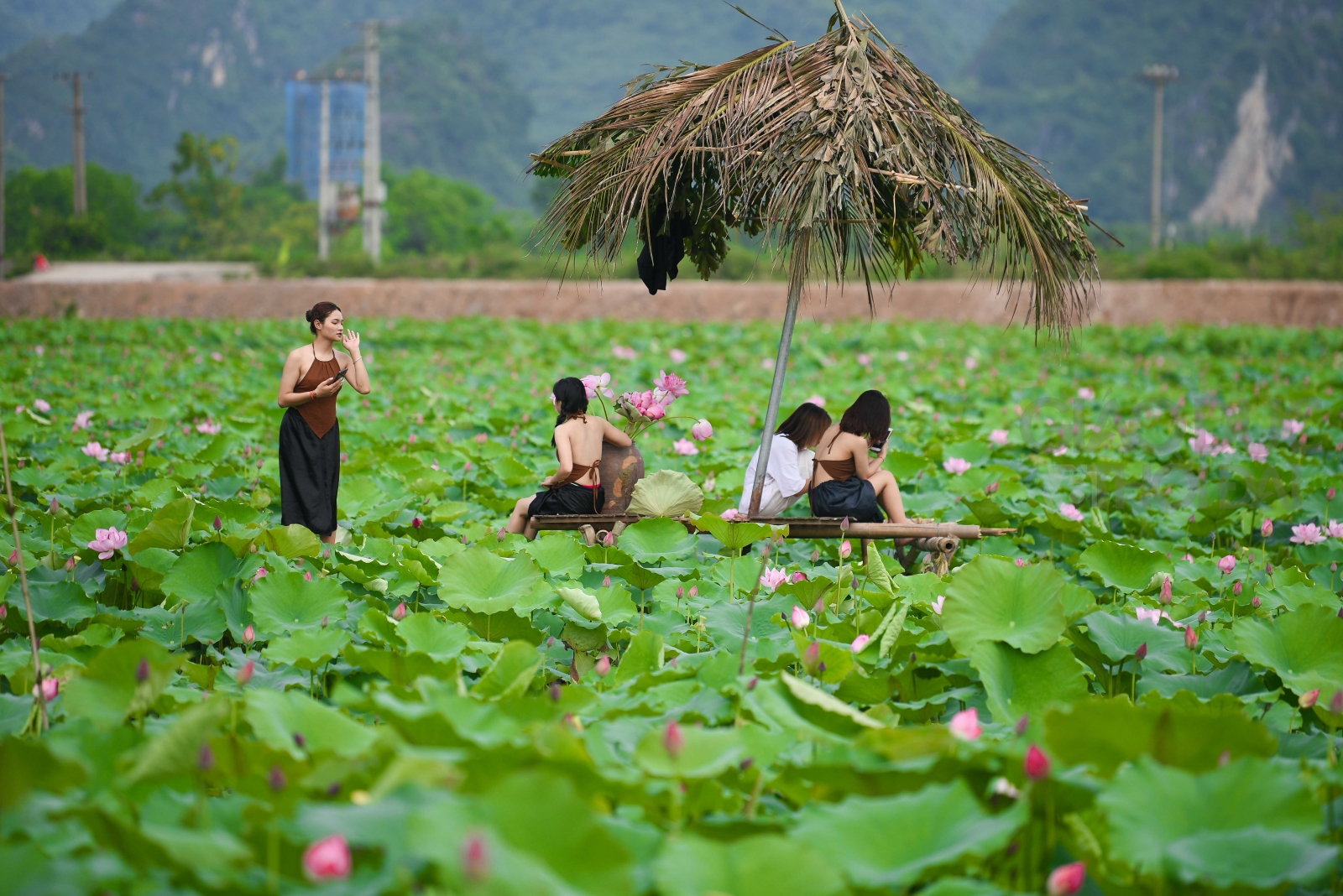 Đầm sen hồng hút mắt thu hút rất đông người dân, nhất là các bạn trẻ đến thăm quan.