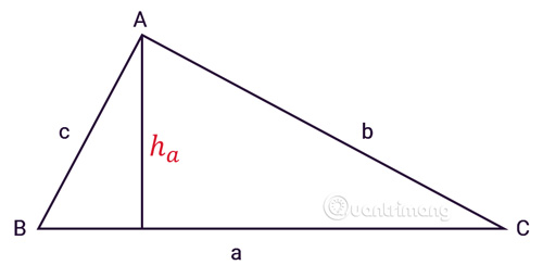 Tính diện tích S tam giác thường