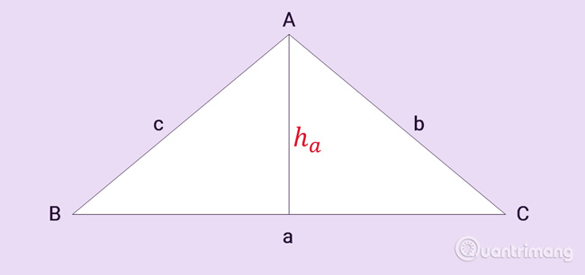 Để tính diện tích S tam giác bạn phải xác lập loại tam giác này là gì