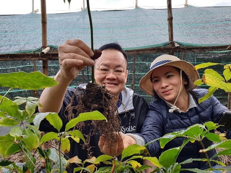 GS.TS Nguyễn Minh Đức (trái) trong vườn trồng sâm ở Lâm Đồng.