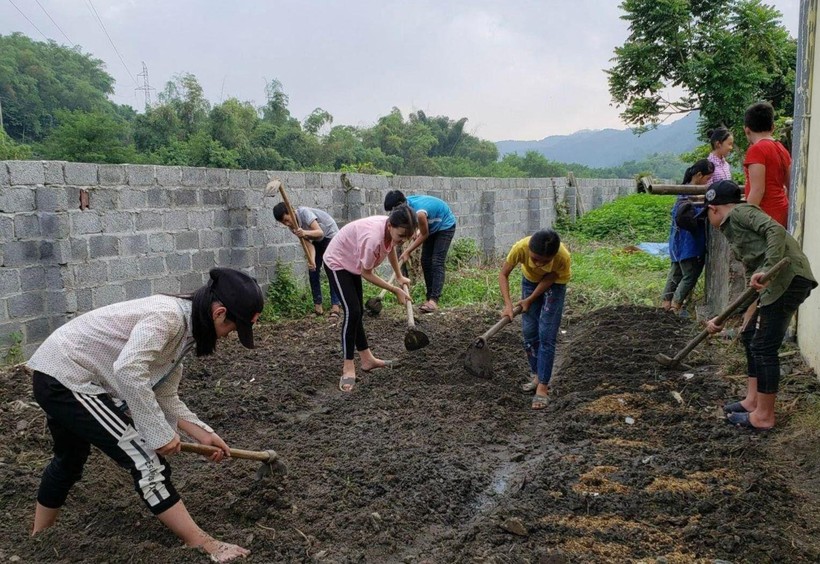 Không chỉ đơn thuần là trồng rau sạch, học sinh còn được hiểu thêm kiến thức về môn công nghệ và quy trình sản xuất nông sản an toàn.