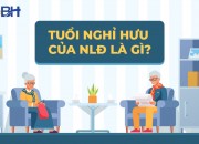 Cách tính tuổi nghỉ hưu của người lao động đơn giản năm 2023 Cách tính tuổi nghỉ hưu của người lao động đơn giản năm 2023