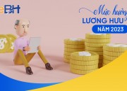 Mức hưởng lương hưu năm 2023 và cách tính mức lương hưu Mức hưởng lương hưu năm 2023 và cách tính mức lương hưu